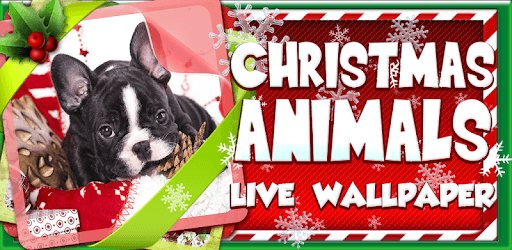 Christmas Animals Live Wallpaper PC screenshot