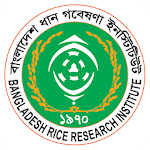 Rice Knowledge Bank for PC