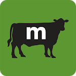 meatheads icon