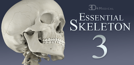 Essential Skeleton 3 PC screenshot