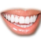 Brush Your Teeth for PC Brush Your Teeth for PC