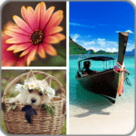 Photo Collage Editor icon
