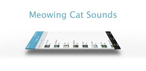 Meowing Cat Sounds PC screenshot