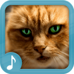 Meowing Cat Sounds icon