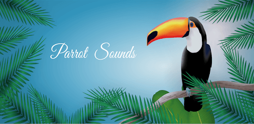 Parrot Nature Sounds PC screenshot