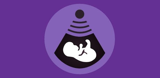 Pregnancy Tracker PC screenshot