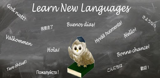 Learn Turkish PC screenshot