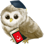 Learn Turkish icon