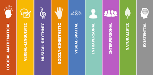 Multiple Intelligences Test PC screenshot Multiple Intelligences Test PC screenshot