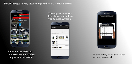 SavePic PC screenshot