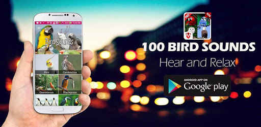 100 Bird sounds PC screenshot