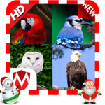 100 Bird sounds for PC
