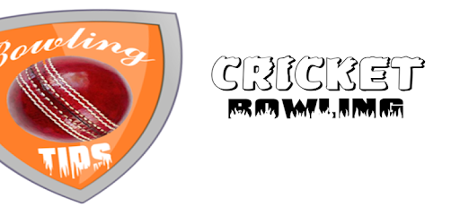 Cricket Bowling PC screenshot Cricket Bowling PC screenshot
