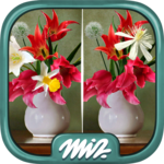 Find the Difference Flowers – Spot the Differences for PC