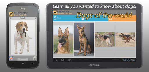 Dogs of the world PC screenshot