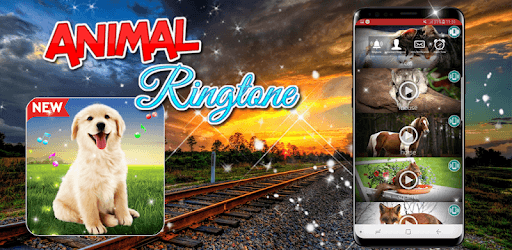Animals Sound Ringtones Real Free PC screenshot Animals Sound Ringtones Real Free PC screenshot