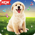 Animals Sound Ringtones Real Free for PC Animals Sound Ringtones Real Free for PC
