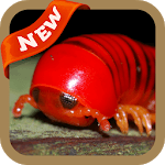 Millipede Wallpaper for PC Millipede Wallpaper for PC