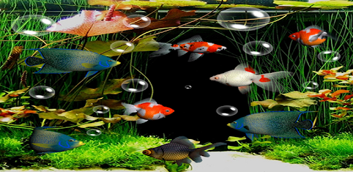 Aquarium Live Wallpaper Free PC screenshot Aquarium Live Wallpaper Free PC screenshot