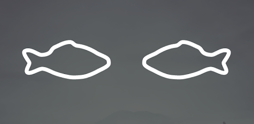 When to Fish PC screenshot