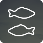 When to Fish for PC