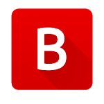 Belfast Live icon