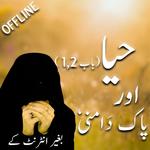Haya aur pakdamni for PC
