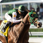 Horse Racing Championship 3D & Jumping Stunts 18 for PC
