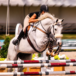 Horse Racing & Jumping Master 3D Stunts icon