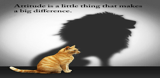 Attitude And Self Improvement Quotes PC screenshot Attitude And Self Improvement Quotes PC screenshot