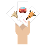 Doman Cards icon