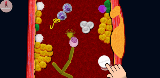 Lower cholesterol PC screenshot