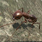 Ant Simulation 3D - Insect Survival Game icon