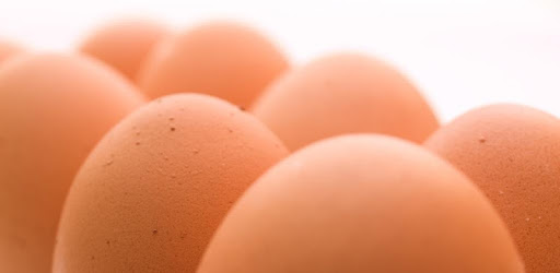 CookEgg Timer PC screenshot