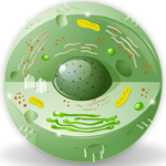 Dictionary of Biology for PC