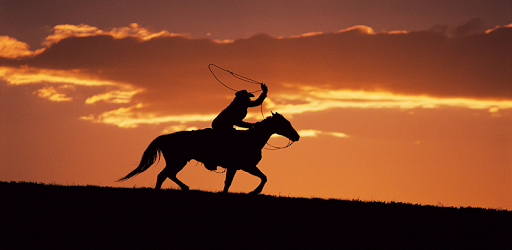The Whip PC screenshot