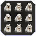 Pets Dogs Pattern Lock Screen for PC
