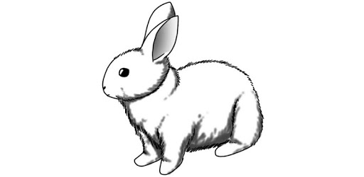 How to Draw Rabbits PC screenshot How to Draw Rabbits PC screenshot