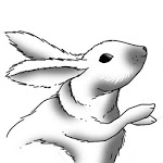 How to Draw Rabbits for PC How to Draw Rabbits for PC