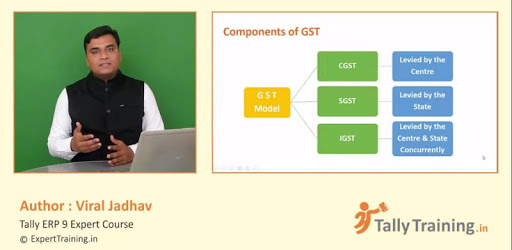 Tally ERP 9 Expert GST Course Hindi PC screenshot