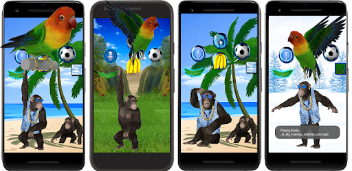 Funny Talking Monkey PC screenshot