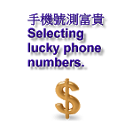 Lucky phone number[trial] for PC