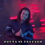 Ozuna icon