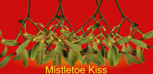Mistletoe Kiss PC screenshot Mistletoe Kiss PC screenshot