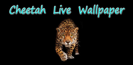 Cheetah Live Wallpaper PC screenshot