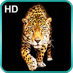 Cheetah Live Wallpaper icon
