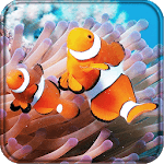 Clownfish 3D Live Wallpaper for PC