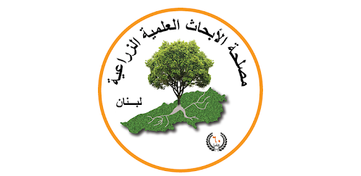 LARI-LEB PC screenshot