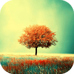 Awesome-Land Live wallpaper HD : Grow more trees icon