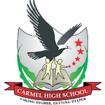 Carmel High School, Thane icon
